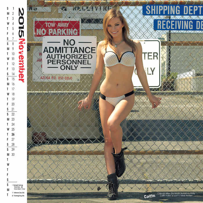 Garage Girls pinup calendar,Playboy Playmate calendar, girls, glamour, tool calendar