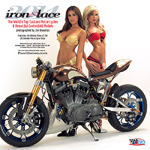 Iron & Lace 2012 Calendar