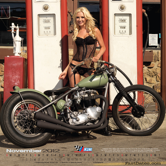 2009 Iron & Lace Calendar with Tiffany Toth