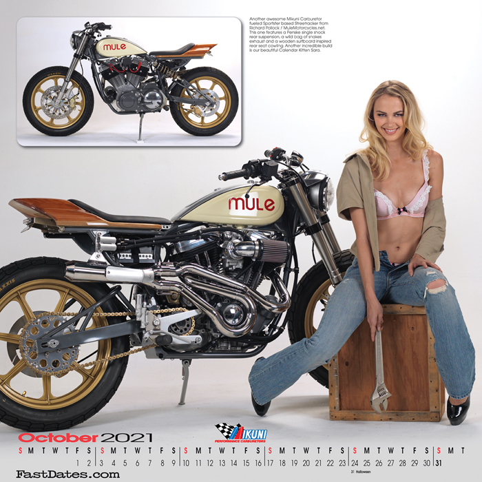 2018 Iron & Lace cutom motorcycle PinUp Model Calendar 