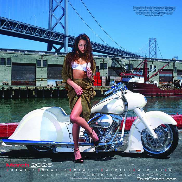 2017 Iron & Lace custom motorcycle and centerfold lingeri model calendar  Harley-Davidson, Dreamgirls 