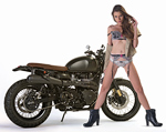 David Beckham Triumph